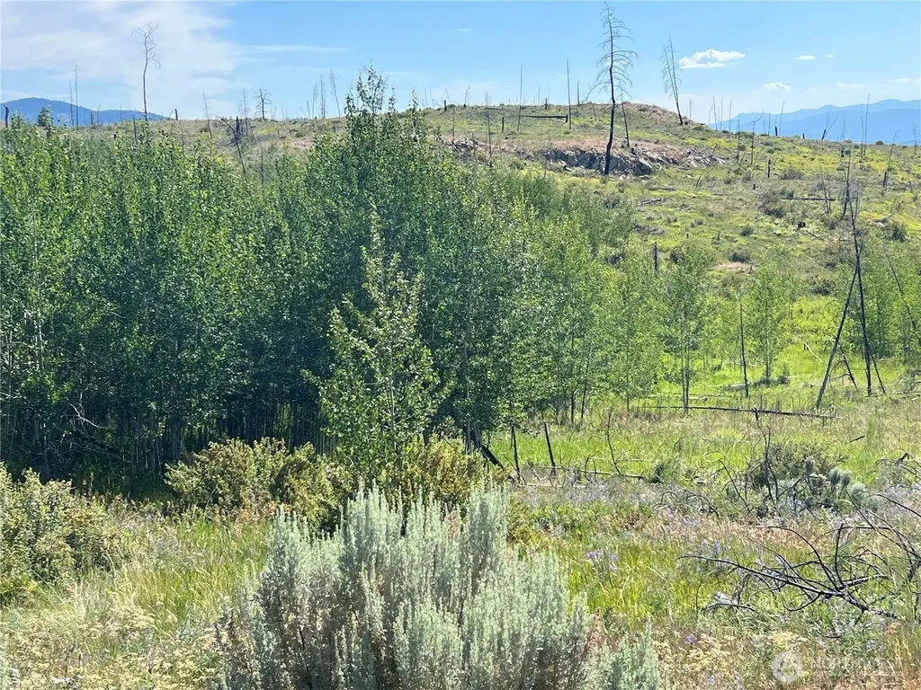 0 Lone Spur Road Oroville WA 98844
