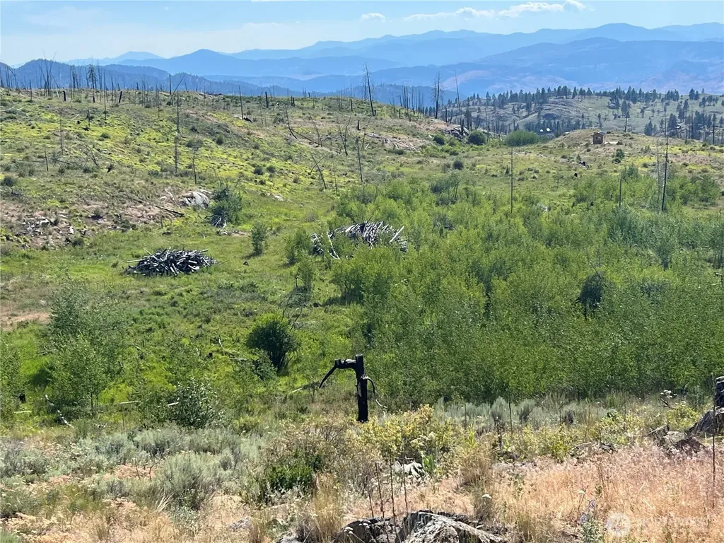 0 Lone Spur Road Oroville WA 98844