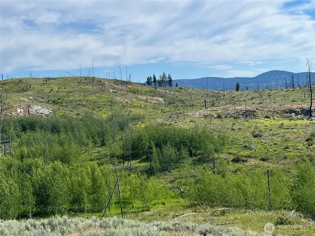 0 Lone Spur Road Oroville WA 98844