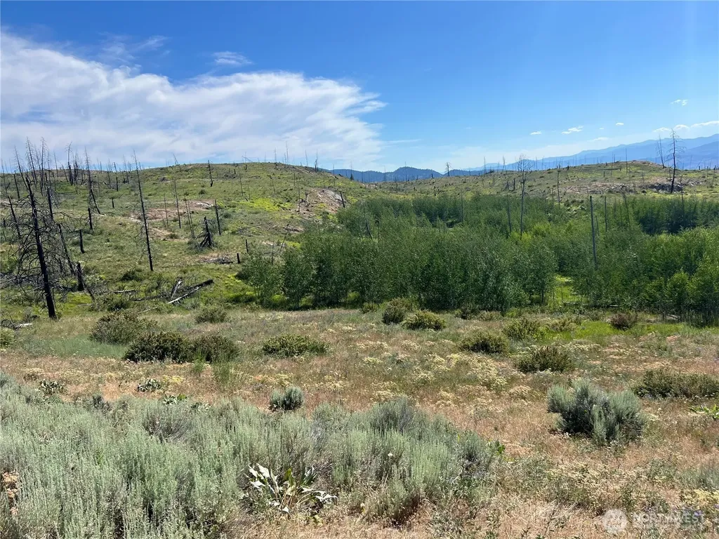 0 Lone Spur Road Oroville WA 98844
