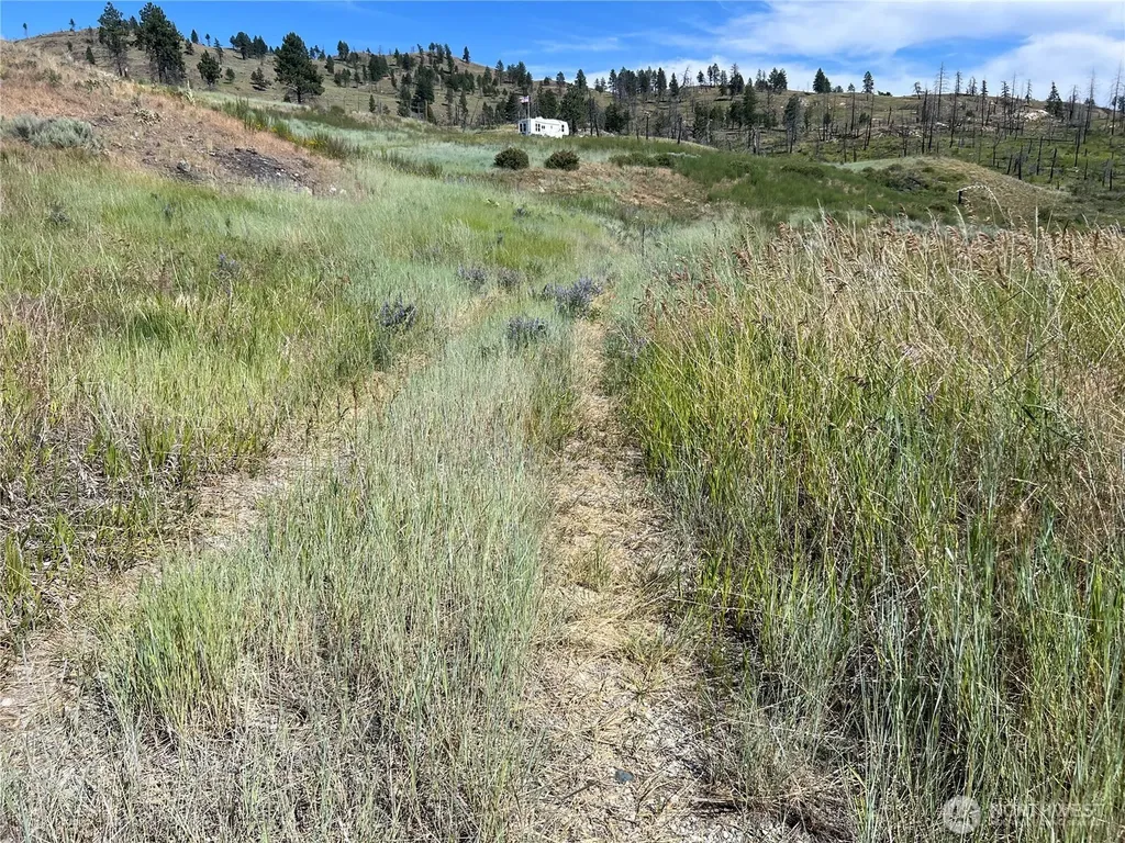 0 Lone Spur Road Oroville WA 98844