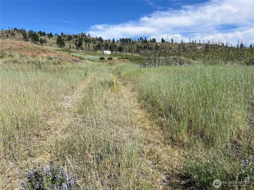 0 Lone Spur Road Oroville WA 98844