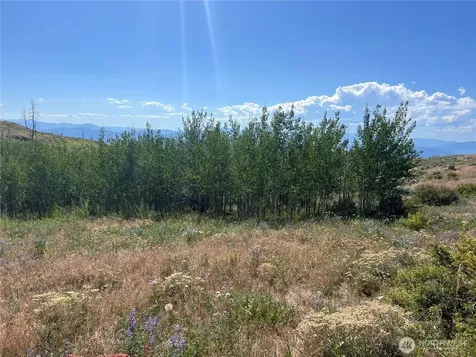 0 Lone Spur Road Oroville WA 98844