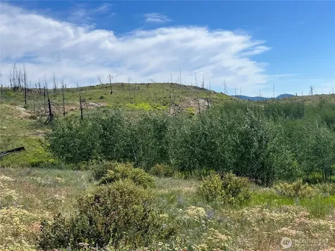 0 Lone Spur Road Oroville WA 98844