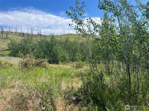 0 Lone Spur Road Oroville WA 98844