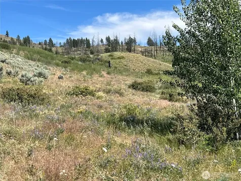 0 Lone Spur Road Oroville WA 98844