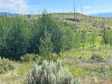 0 Lone Spur Road Oroville WA 98844