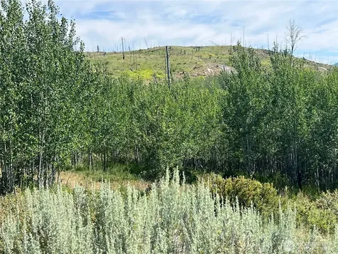 0 Lone Spur Road Oroville WA 98844
