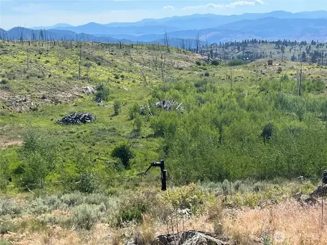 0 Lone Spur Road Oroville WA 98844