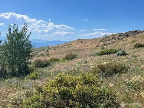 0 Lone Spur Road Oroville WA 98844