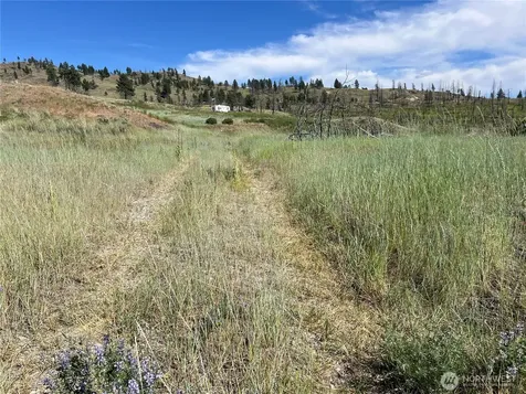 0 Lone Spur Road Oroville WA 98844