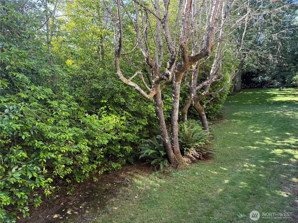 4326 156th Street SW Lynnwood WA 98087