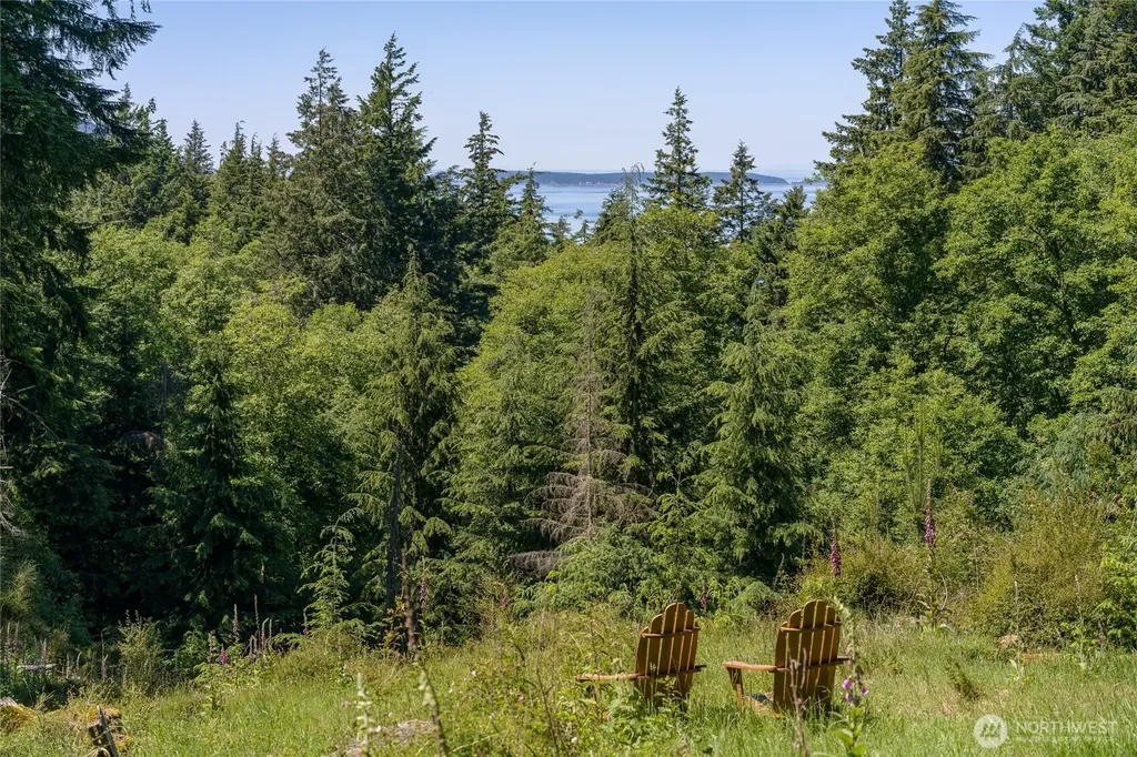 23 Tsuga Lane Orcas Island WA 98279