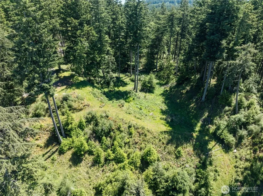 23 Tsuga Lane Orcas Island WA 98279