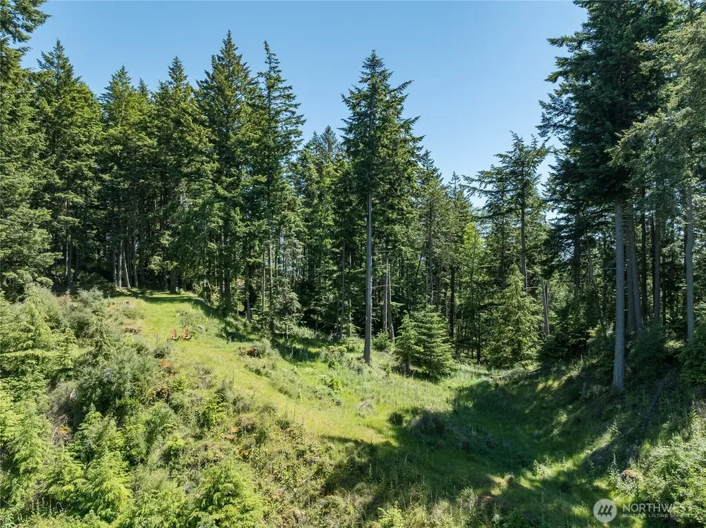 23 Tsuga Lane Orcas Island WA 98279
