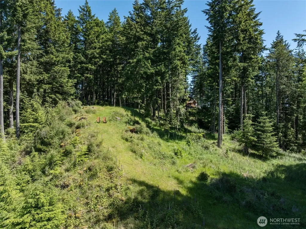 23 Tsuga Lane Orcas Island WA 98279