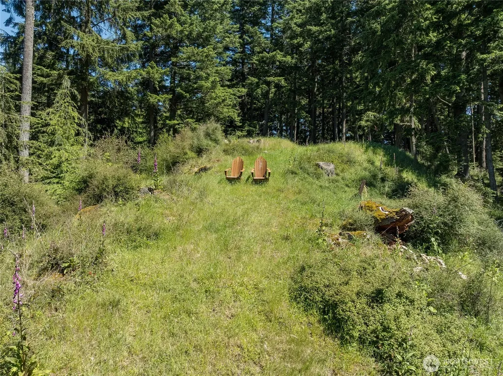 23 Tsuga Lane Orcas Island WA 98279