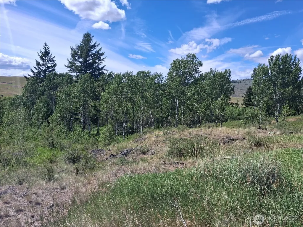 1 Fletcher/rd 225 Road Oroville WA 98840