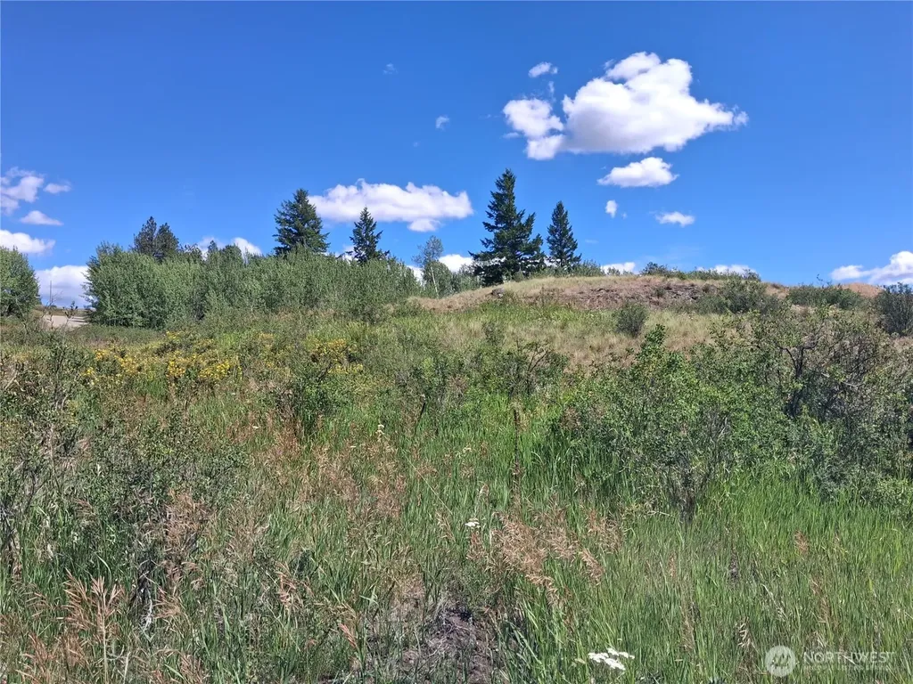1 Fletcher/rd 225 Road Oroville WA 98840