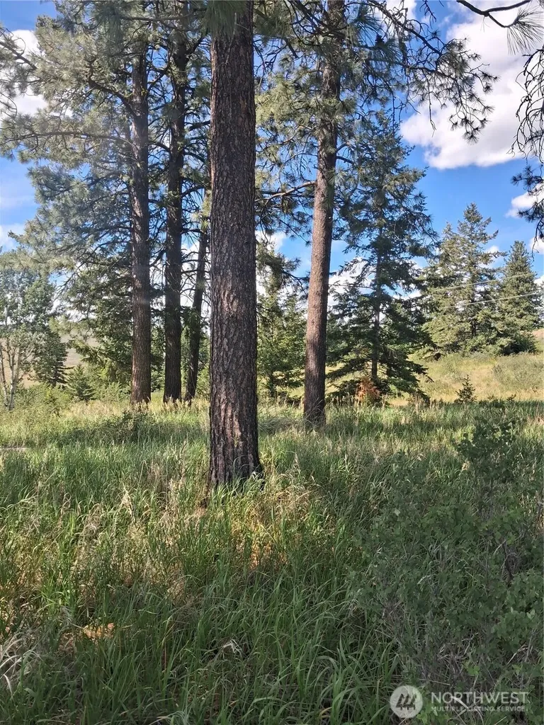 1 Fletcher/rd 225 Road Oroville WA 98840