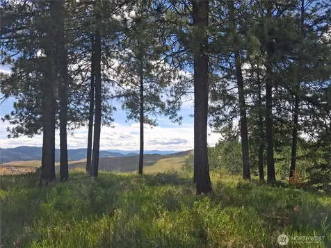1 Fletcher/rd 225 Road Oroville WA 98840