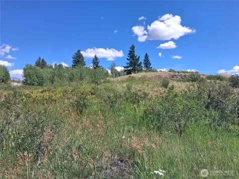 1 Fletcher/rd 225 Road Oroville WA 98840