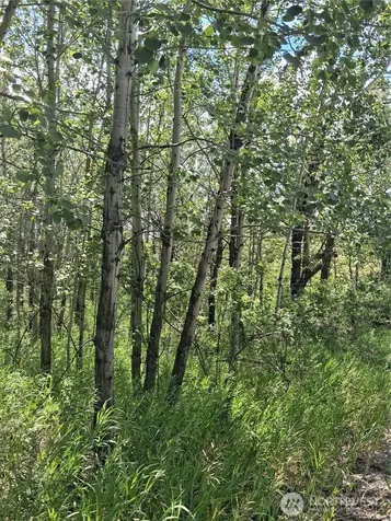 1 Fletcher/rd 225 Road Oroville WA 98840