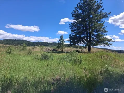 1 Fletcher/rd 225 Road Oroville WA 98840