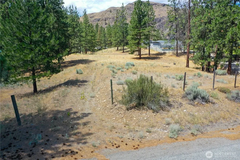 113 Crumbacher Road Tonasket WA 98855
