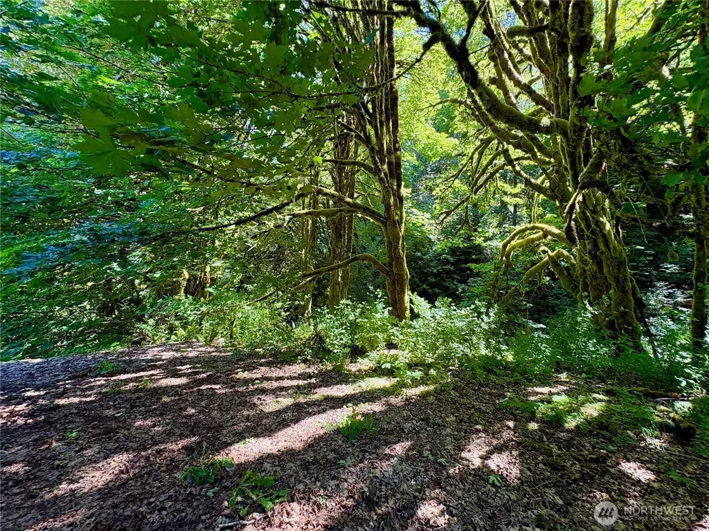 23501 Us Highway 101 Hoodsport WA 98548