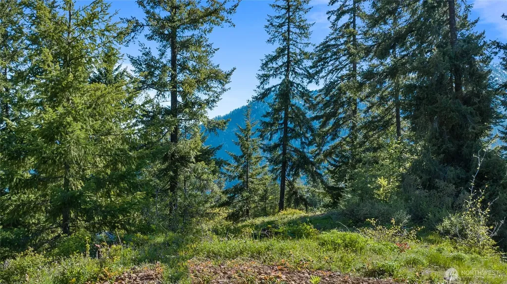 40 Newport Creek Loop Ronald WA 98941