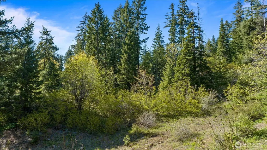 40 Newport Creek Loop Ronald WA 98941