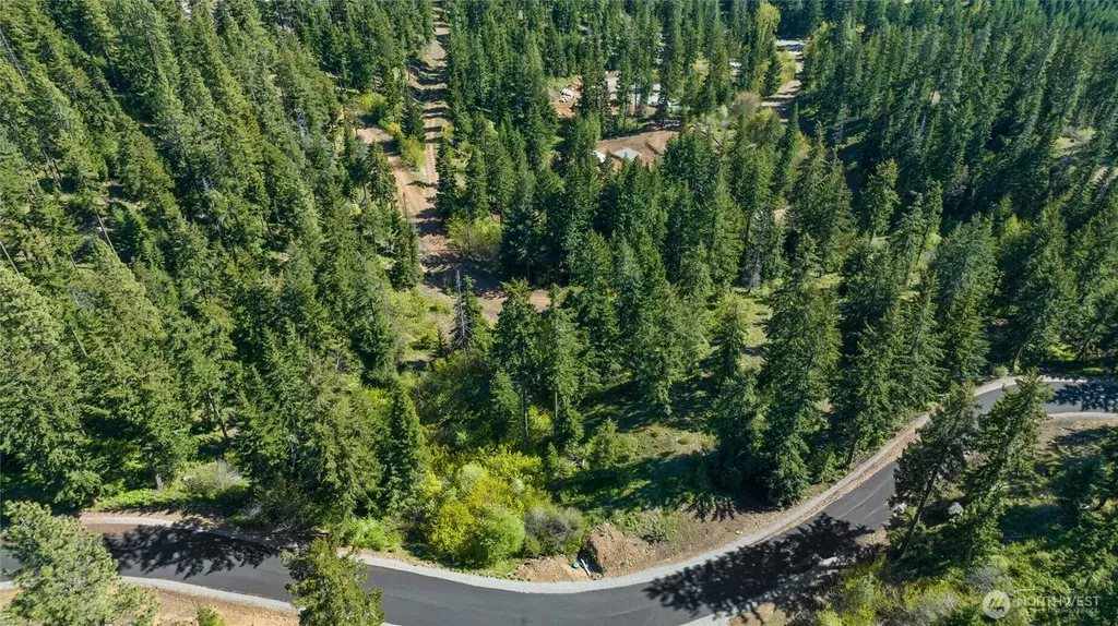40 Newport Creek Loop Ronald WA 98941