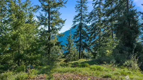 40 Newport Creek Loop Ronald WA 98941