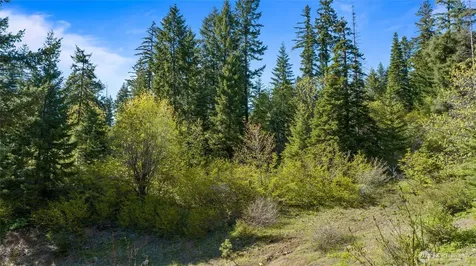 40 Newport Creek Loop Ronald WA 98941