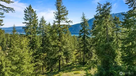 40 Newport Creek Loop Ronald WA 98941