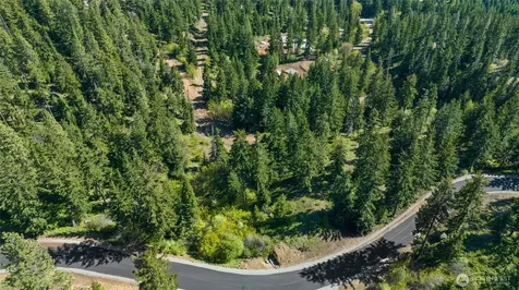 40 Newport Creek Loop Ronald WA 98941