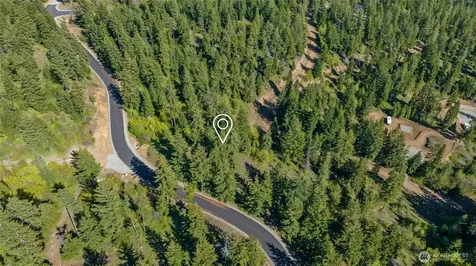 40 Newport Creek Loop Ronald WA 98941