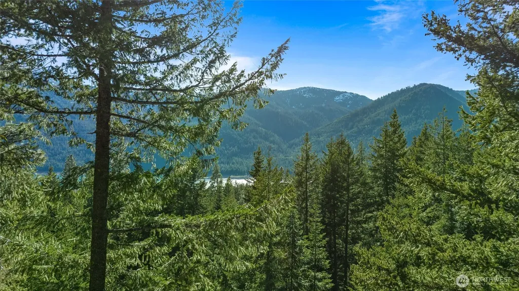 10 Newport Creek Loop Ronald WA 98940