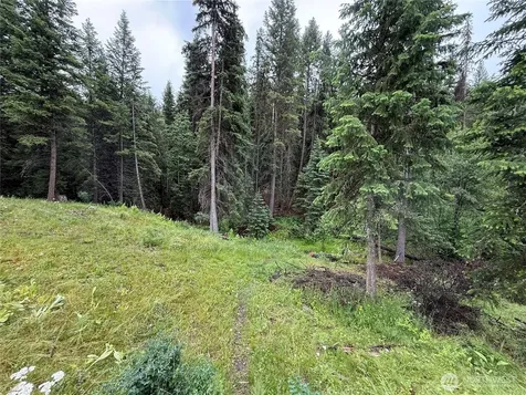 154 W Cougar Creek Road Wauconda WA 98859