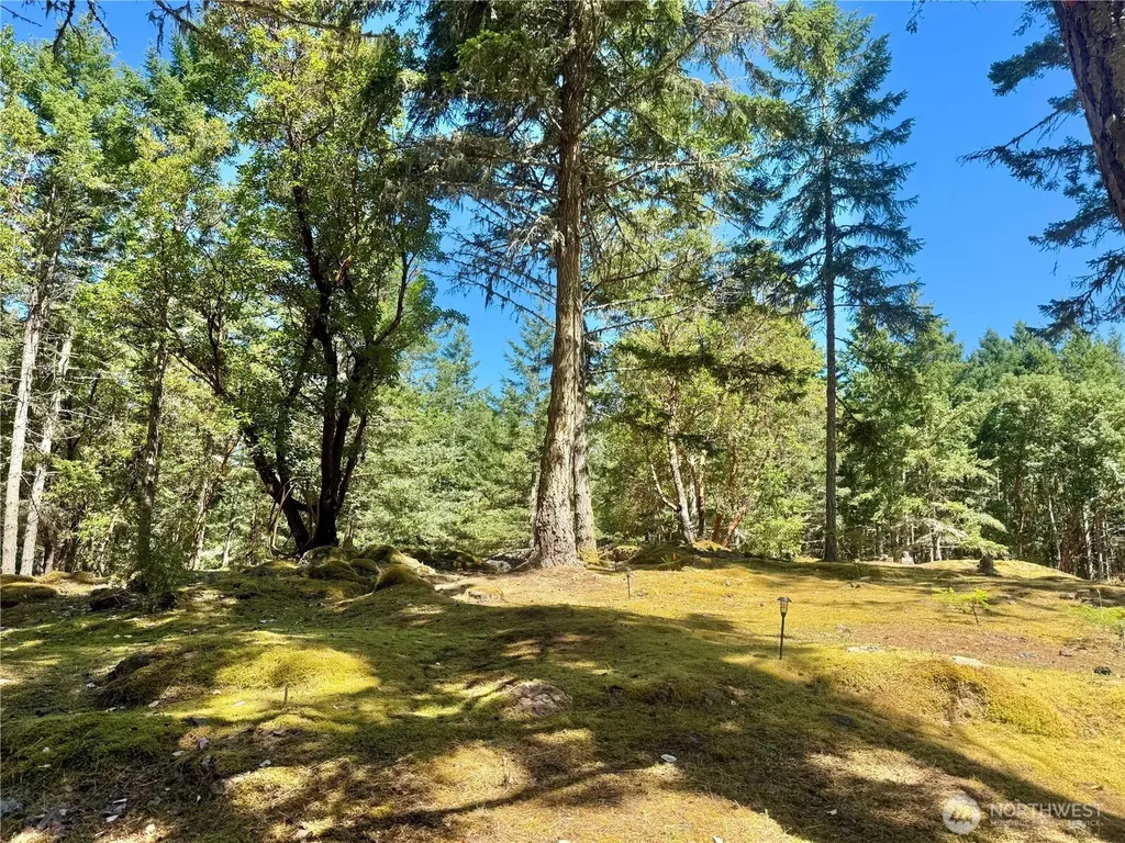 Friday Harbor WA 98250