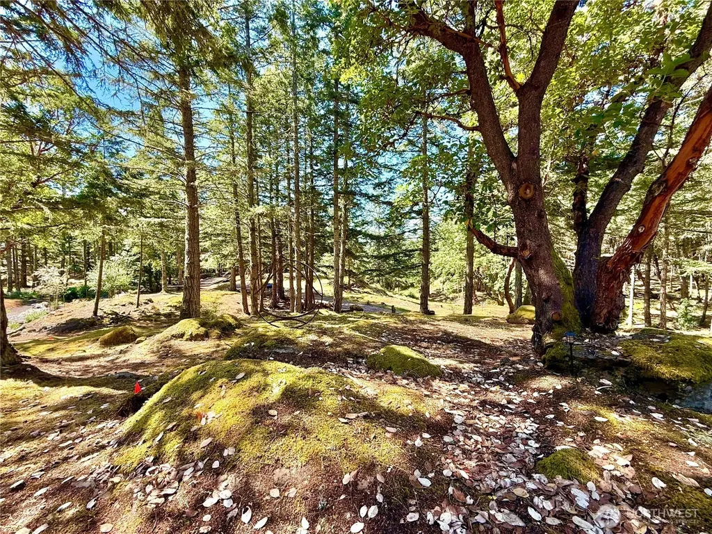 Friday Harbor WA 98250