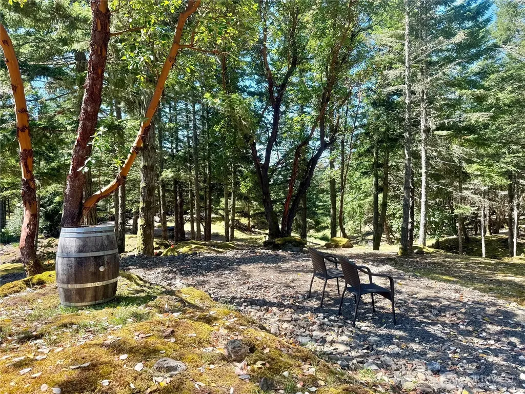 Friday Harbor WA 98250