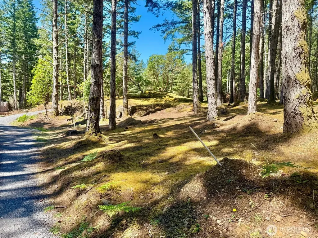 Friday Harbor WA 98250