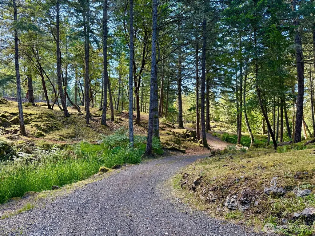 Friday Harbor WA 98250