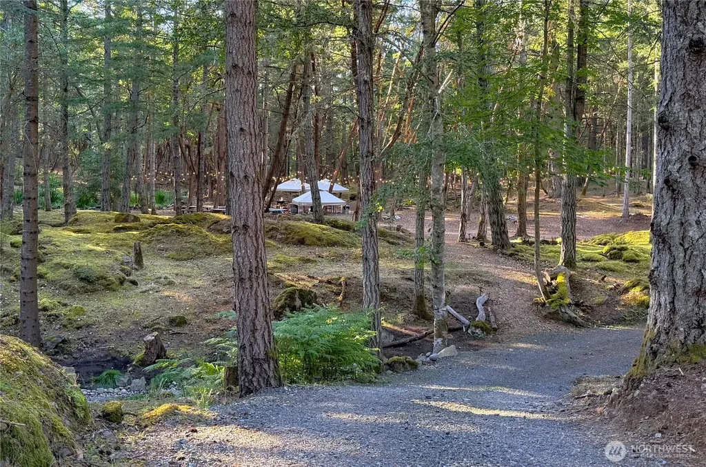 Friday Harbor WA 98250