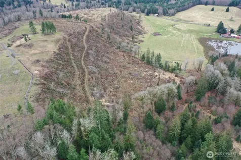 4 Hagen Road Mossyrock WA 98564