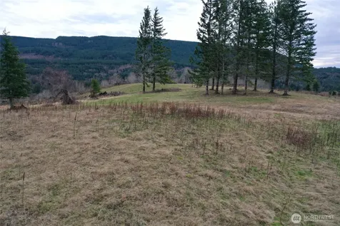 4 Hagen Road Mossyrock WA 98564