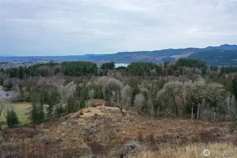 4 Hagen Road Mossyrock WA 98564
