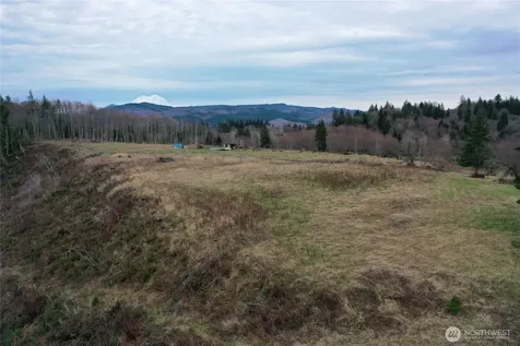 4 Hagen Road Mossyrock WA 98564